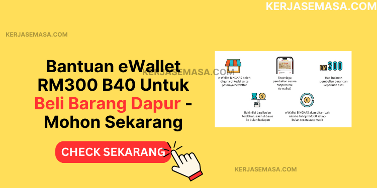 Bantuan eWallet RM300 B40 Untuk Beli Barang Dapur - Mohon Sekarang